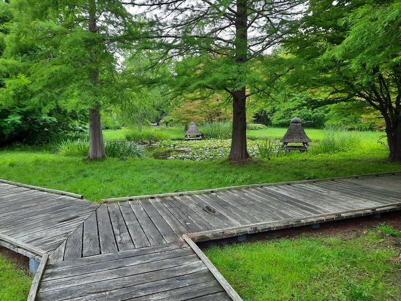 ein angelegter Weg mit Verzweigung